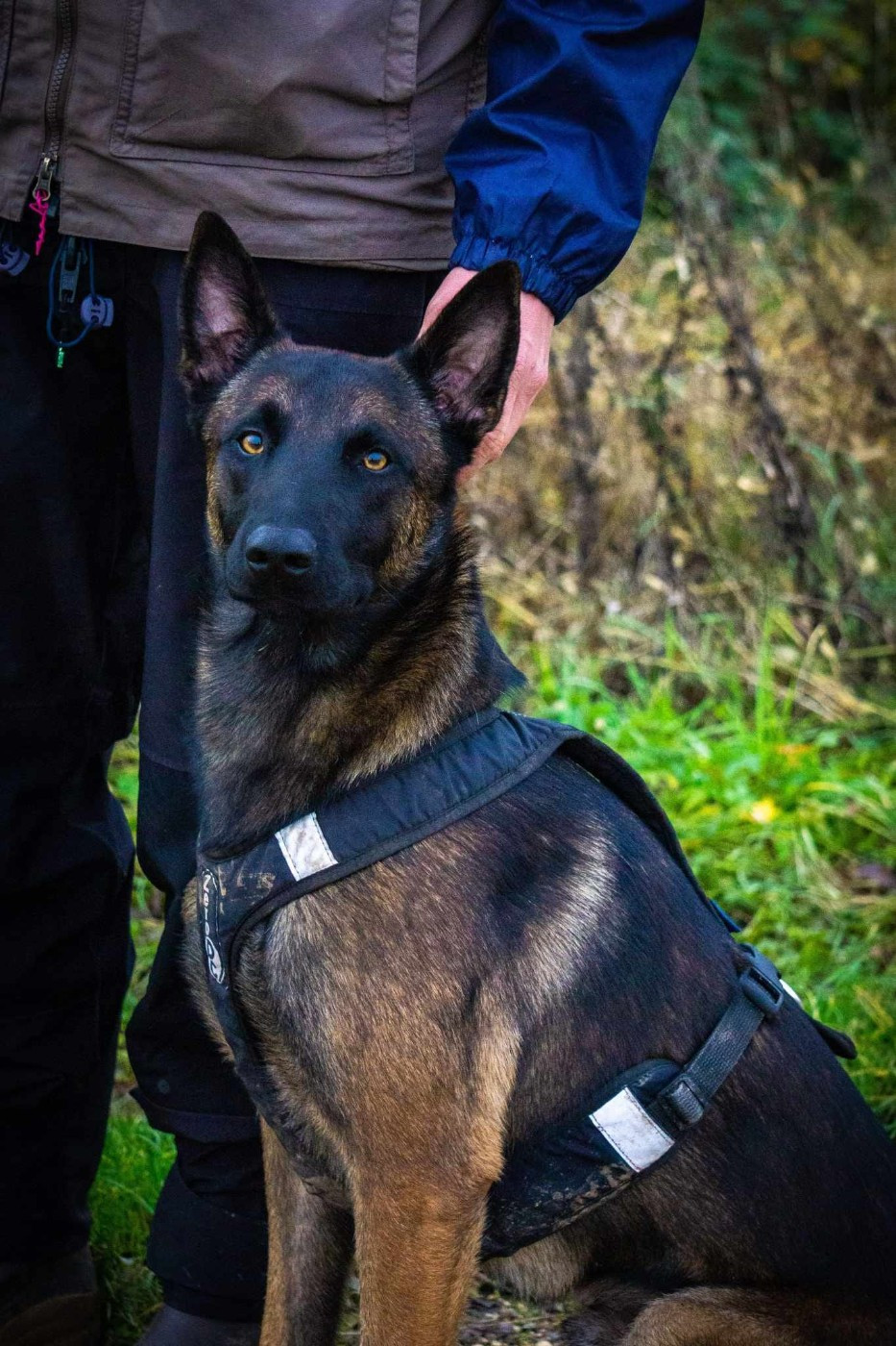 OLIVER Des Soldats Du Camp Redon